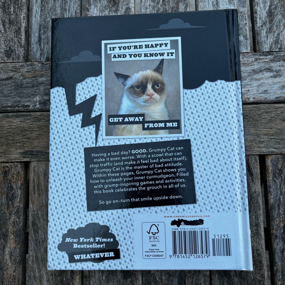 Grumpy cat book - Picture 2 of 3
